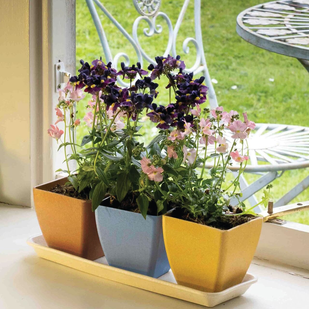 3 nachhaltige Earth Pots mit Untersetzer aus Reishülsen - umweltfreundliches Material
