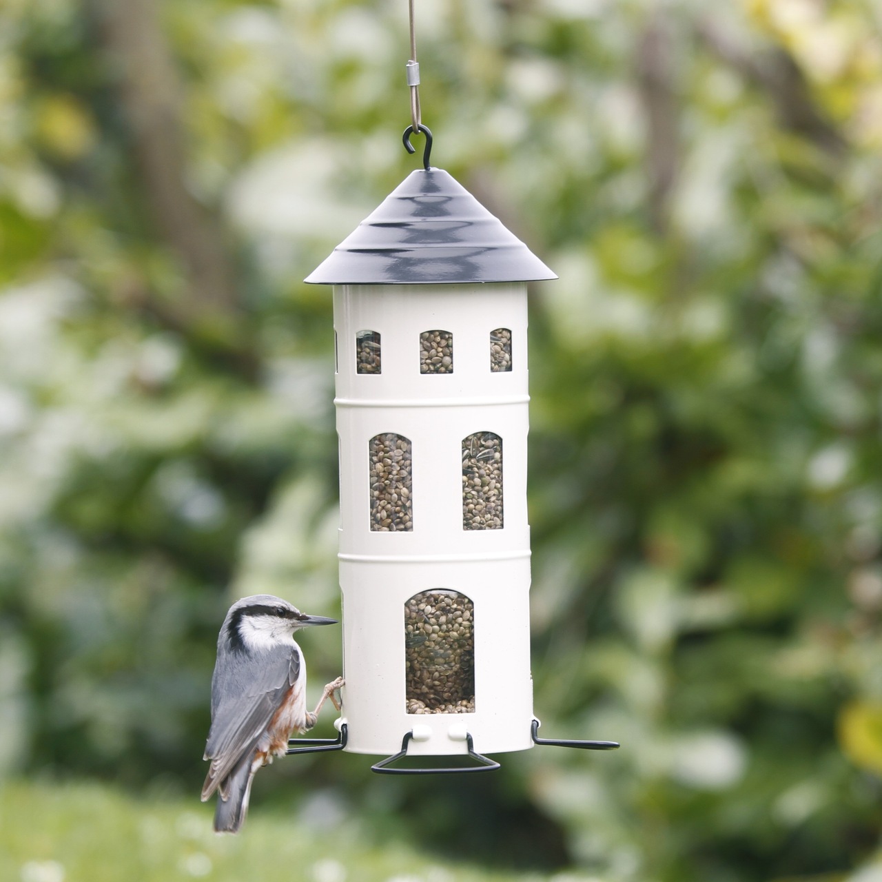 Variable Futterstation | mit Körnern gefüllt