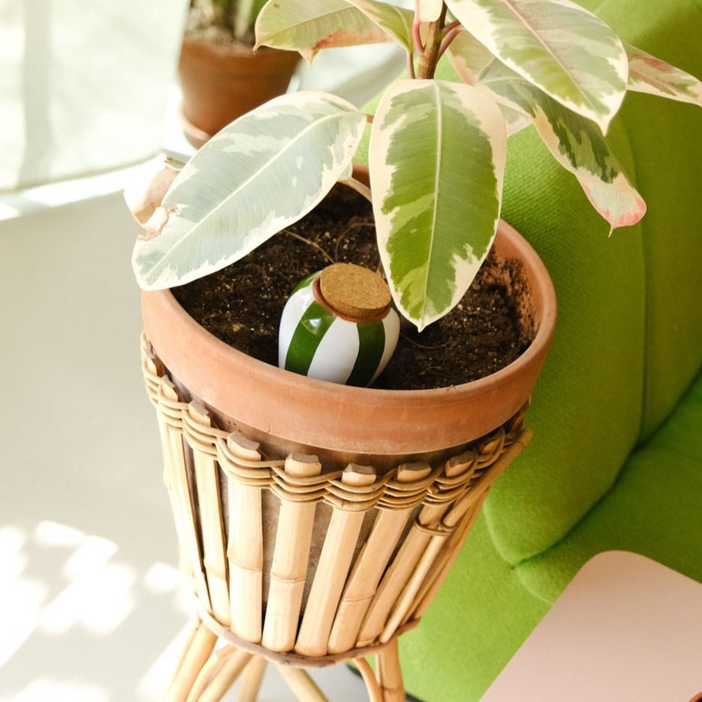 Olla - grün-weiß gestreift | von Pepin | handgefertigt in Portugal