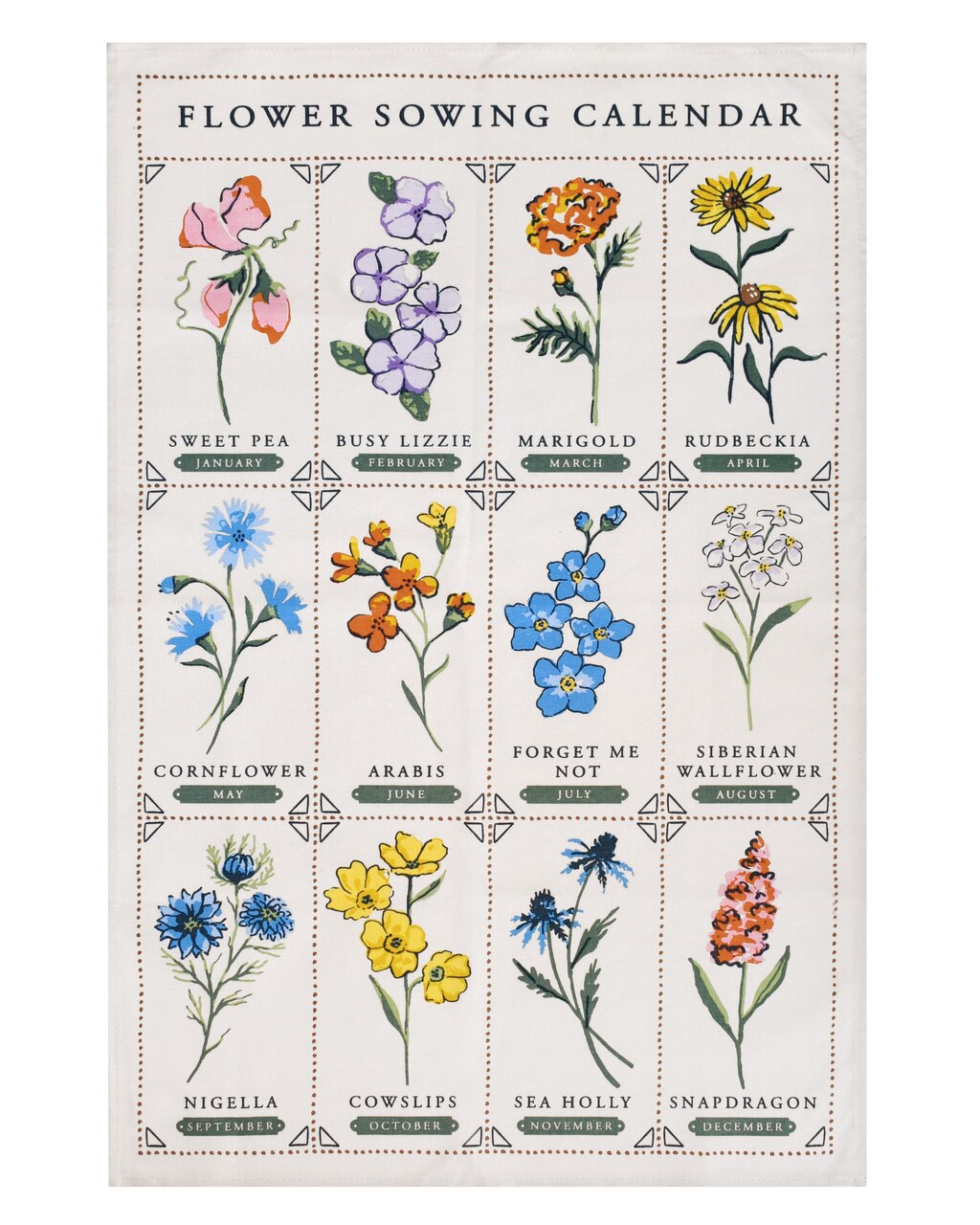 Baumwoll-Geschirrtuch von Ulster Weavers mit einem Monats-Blumen-Aussaatkalender - eine fein gezeichnete Pflanze für jeden Monat