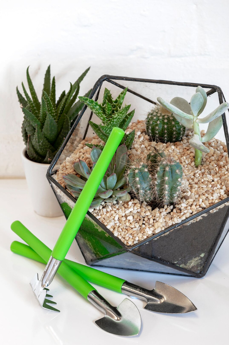 Werkzeuge für Zimmerpflanzen und Terrarien
