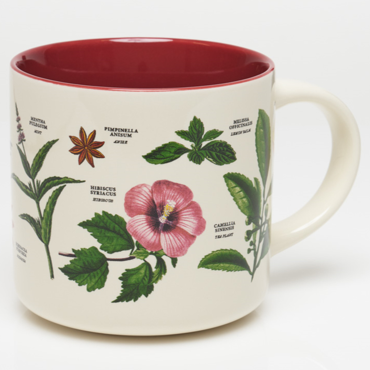 Teepflanzen | Große Keramiktasse für 430 ml