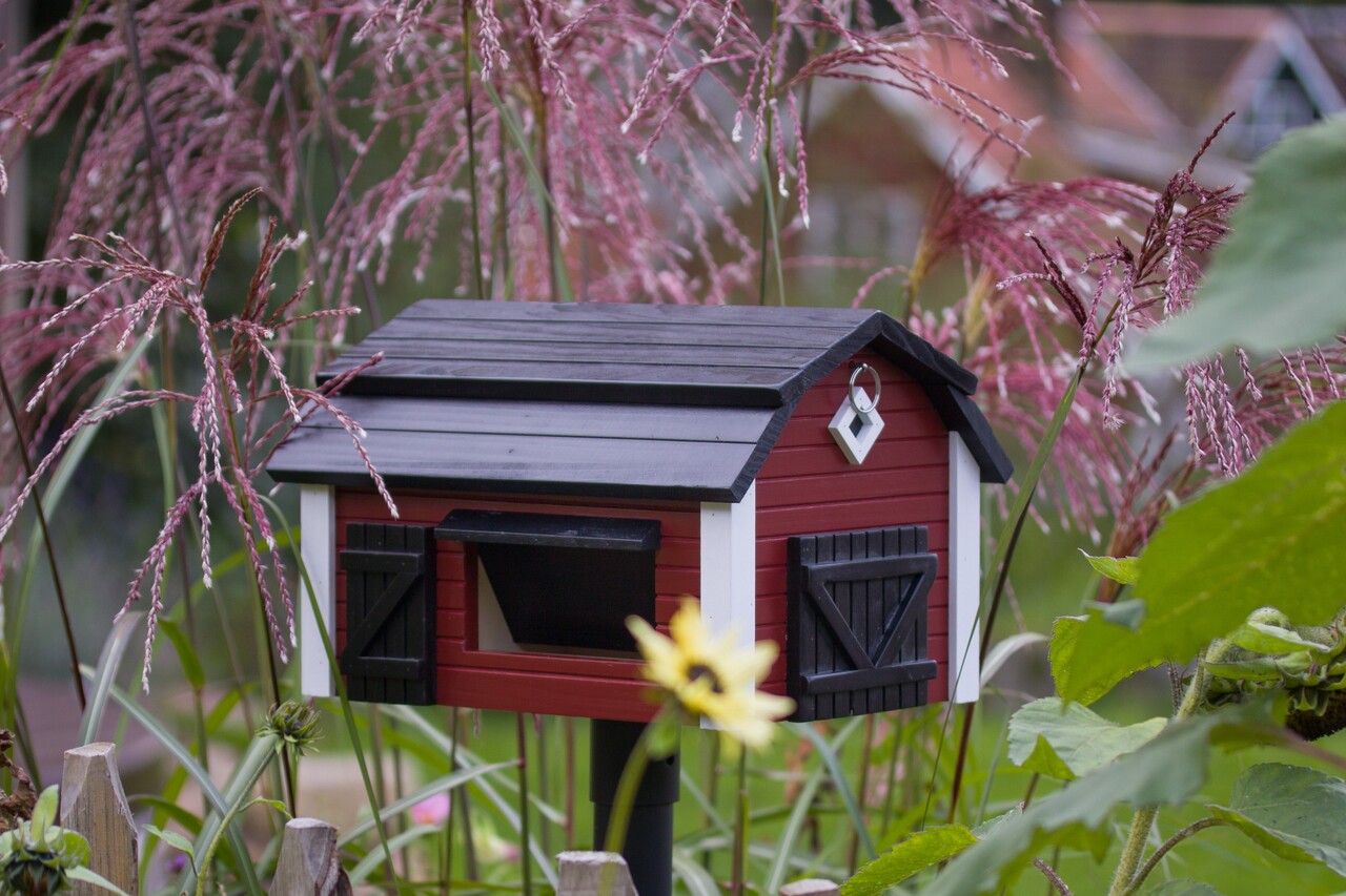 Geräumiger Vogelfutterspender für diverse Futtervarianten