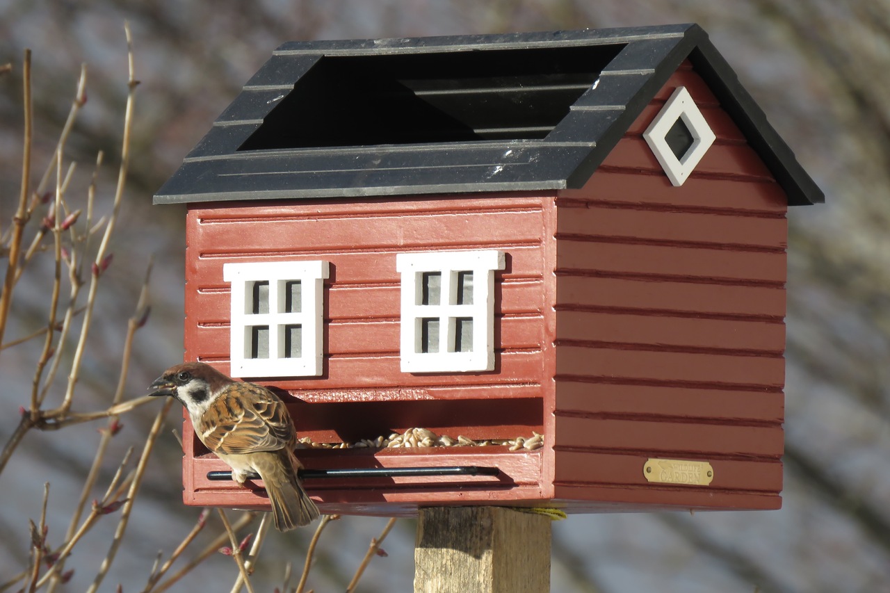 Entzückend ländliches Vogel-Futterhaus mit Tränke im Dach
