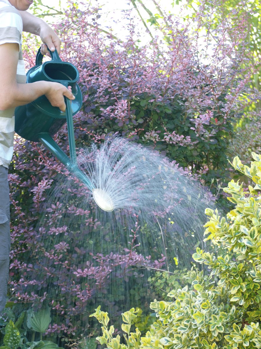 Haws Deluxe Gießkanne mit hochwertiger Messingbrause - Fine as Rain