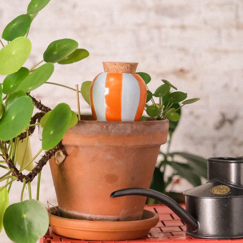 Olla - orange-blau gestreift | mit Haws Zimmergießkanne 1 Pint graphite