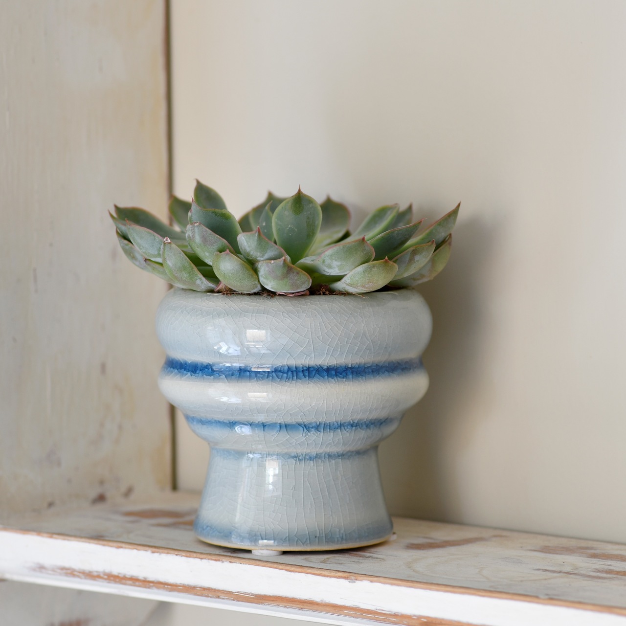 Burgon & Ball Sukkulenten-Topf Florenz | dunkleres Blau