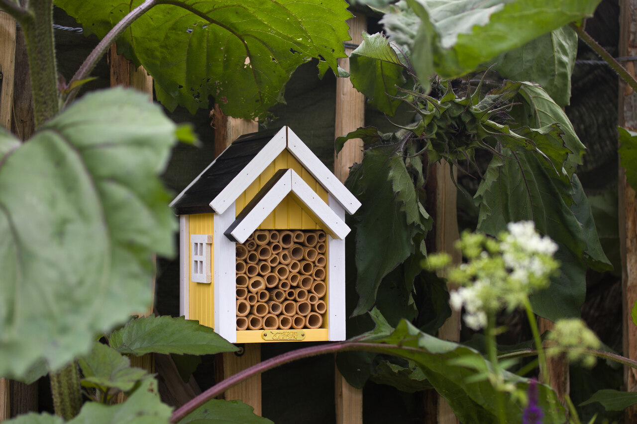 Nistmöglichkeit für Wildbienen | gelbe Villa | von Wildlife Garden