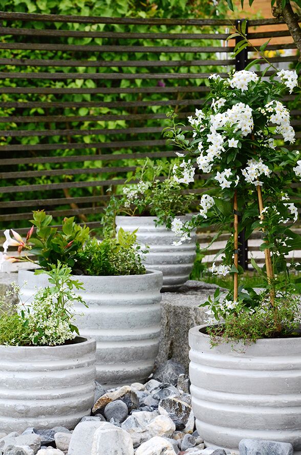 Container-Gardening